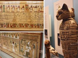 факты о египте