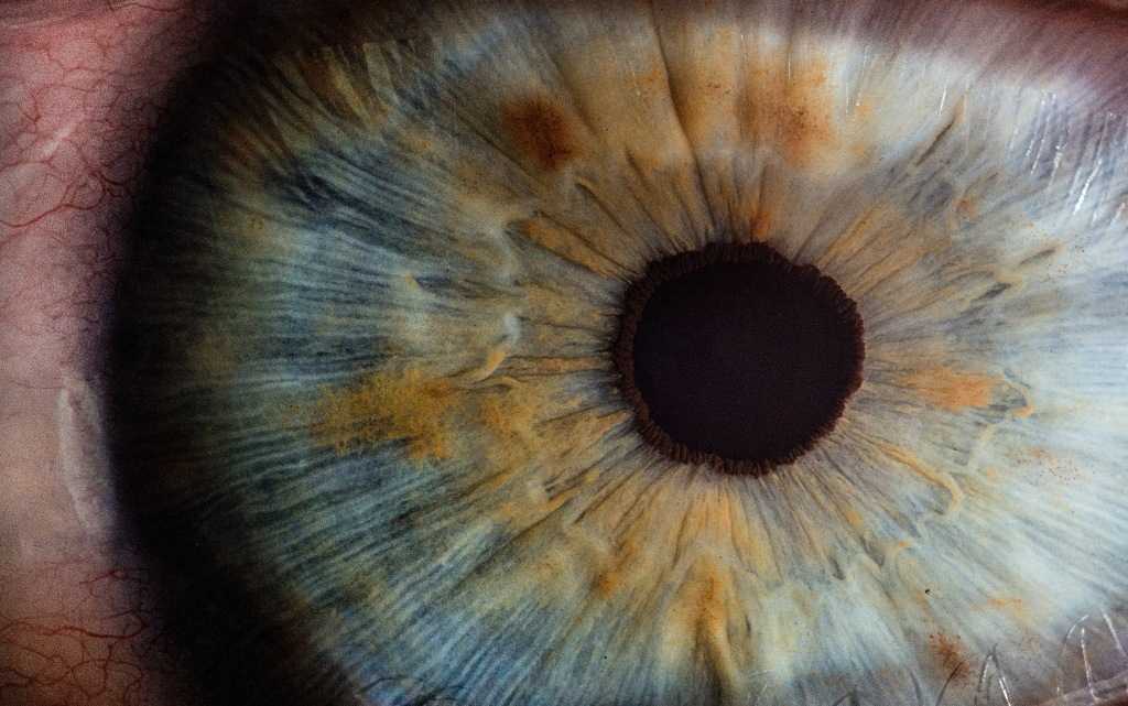 10 удивительных фактов о глазах и зрении